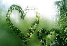 开云体育APP下载-T1逆转FPX，Rekkles制霸全场的简单介绍