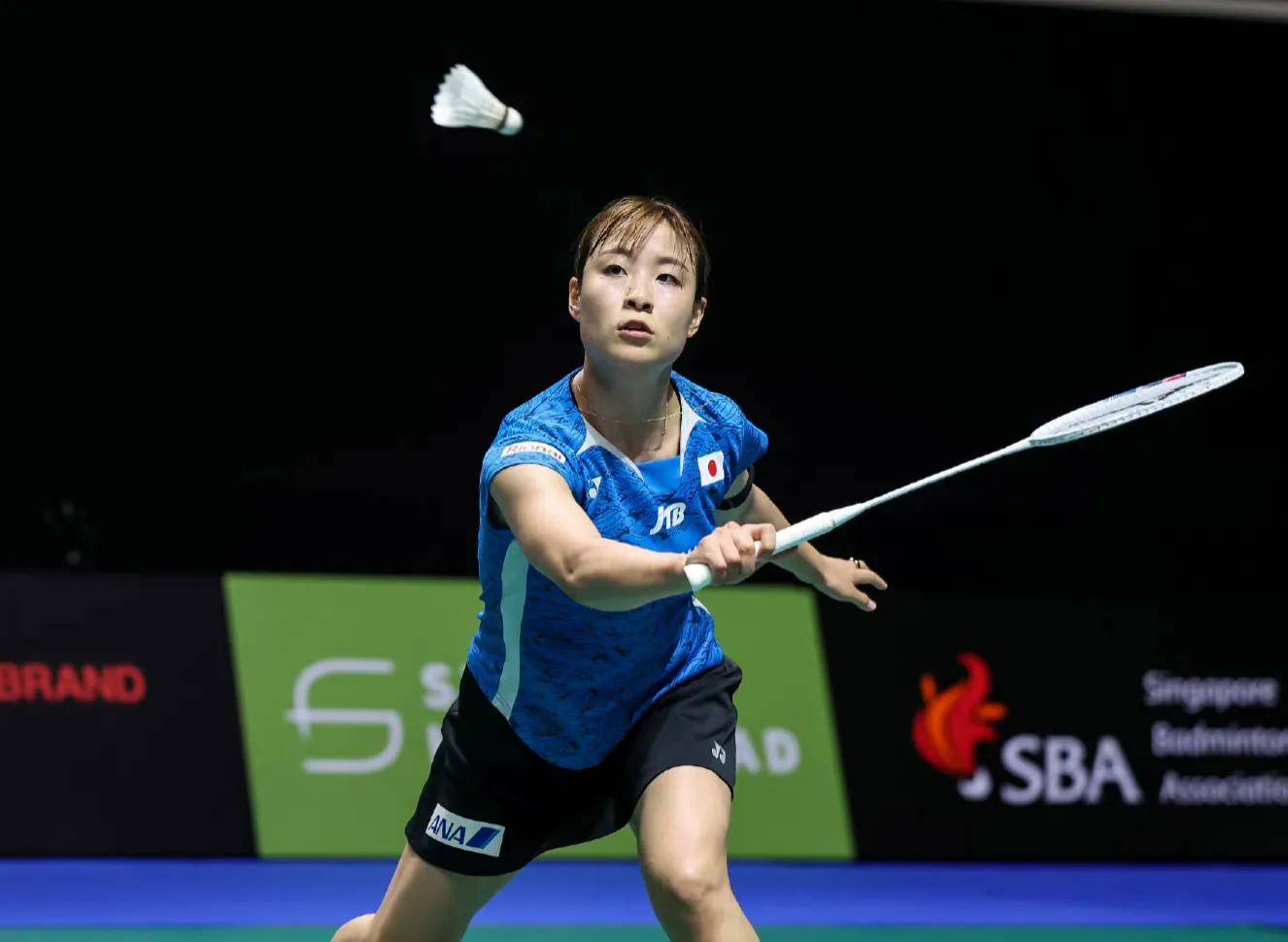 泰国羽毛球队力克马来西亚羽毛球队，马琳高光表现的简单介绍