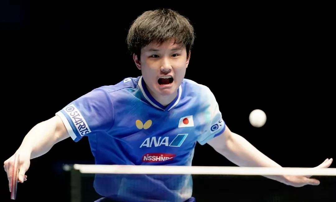 包含比利时乒乓球队险胜波兰乒乓球队，张本智和惊艳世界的词条
