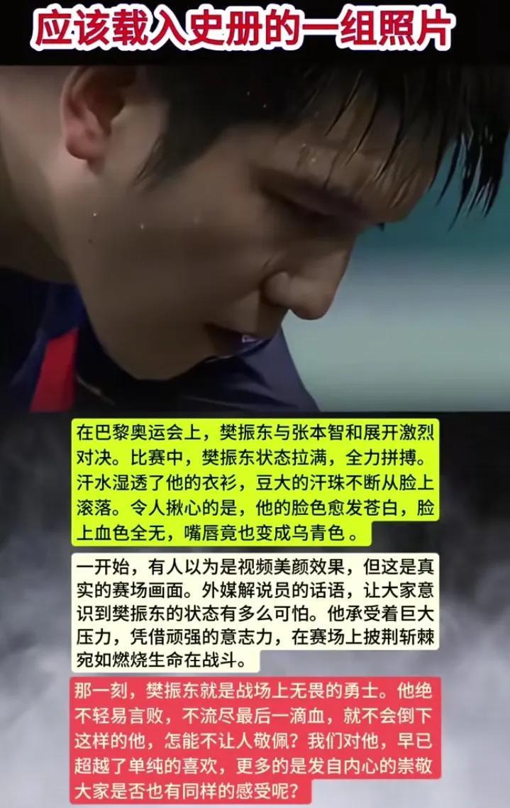 包含英格兰队轻取瑞典队，樊振东状态火热的词条