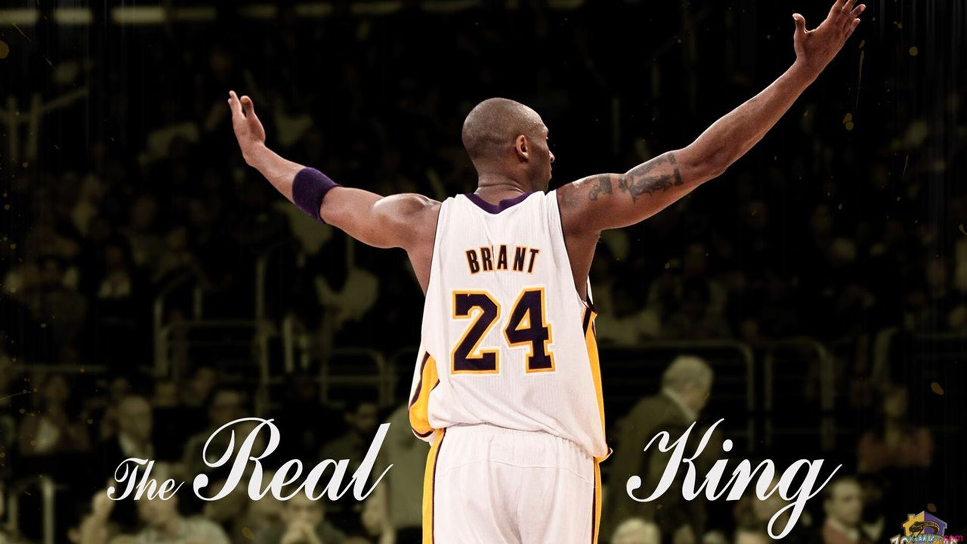 沪上风暴，乔治完美演绎，上海队战术完胜公牛启示录